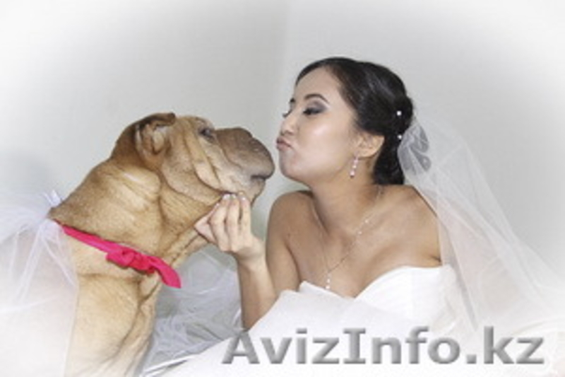 Услуги фото, видеосъемки - Изображение #3, Объявление #1521532