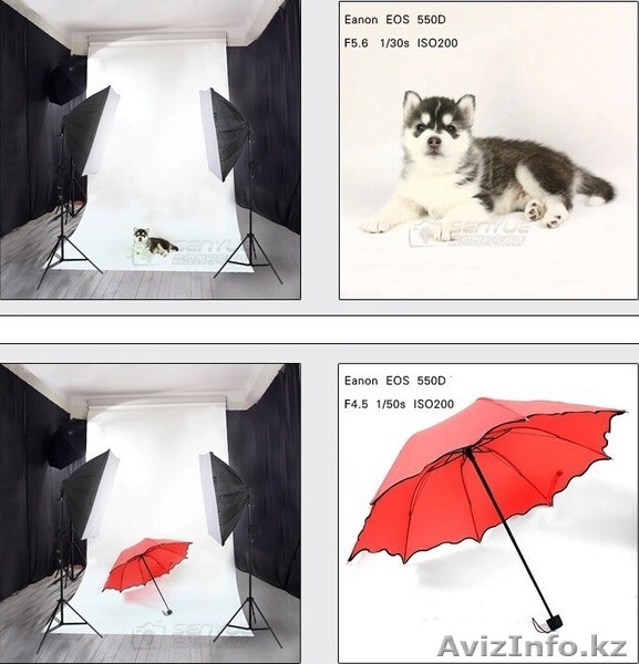 Комплект постоянного света для фотостудии  - Изображение #9, Объявление #1521405
