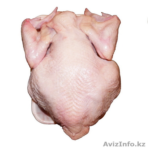 Куры, Тушка ЦБ, мясо куриное, разделка (окорочка, филе, крыло, кожа) оптом - Изображение #1, Объявление #1533164