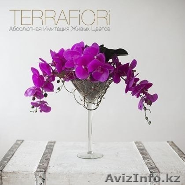 компания TerraFiori                 - Изображение #3, Объявление #1530245