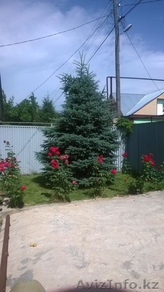 Продается дача с участком в 10 соток - Изображение #6, Объявление #1539010