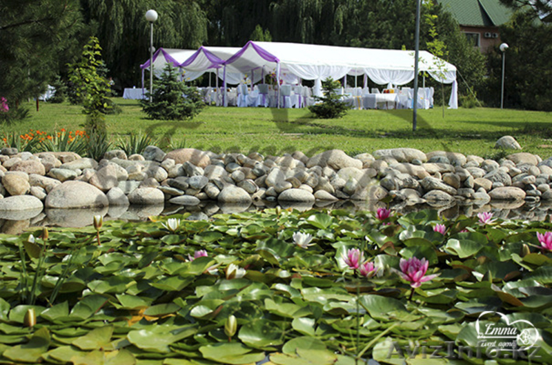 Мероприятия на открытом воздухе в Алматы - Изображение #6, Объявление #1555259