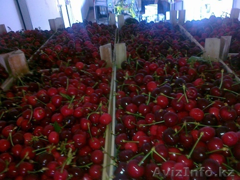 Российская компания приглашает к сотрудничеству - Изображение #4, Объявление #1549377