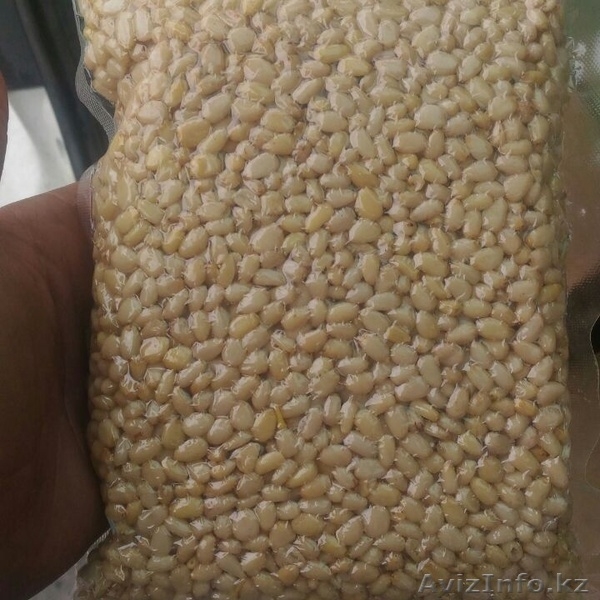  Ядро кедрового ореха в Казахстане  - Изображение #3, Объявление #1550459