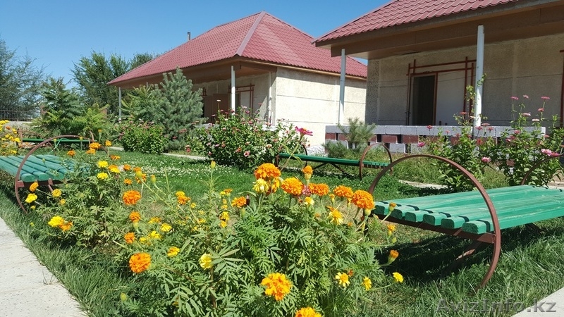 Комфортный и оздоровительный отдых на берегу озера Алаколь для всей семьи - Изображение #7, Объявление #1551357