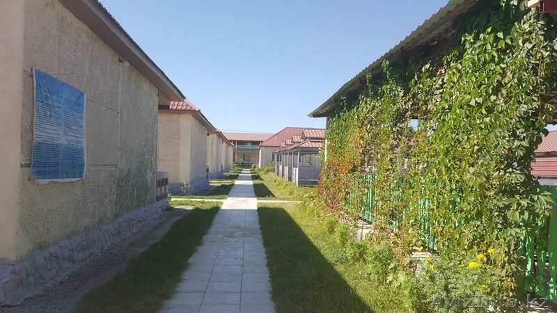 Комфортный и оздоровительный отдых на берегу озера Алаколь для всей семьи - Изображение #6, Объявление #1551357