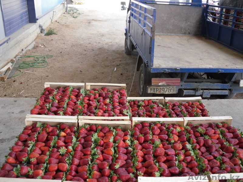 Российская компания приглашает к сотрудничеству - Изображение #3, Объявление #1549377