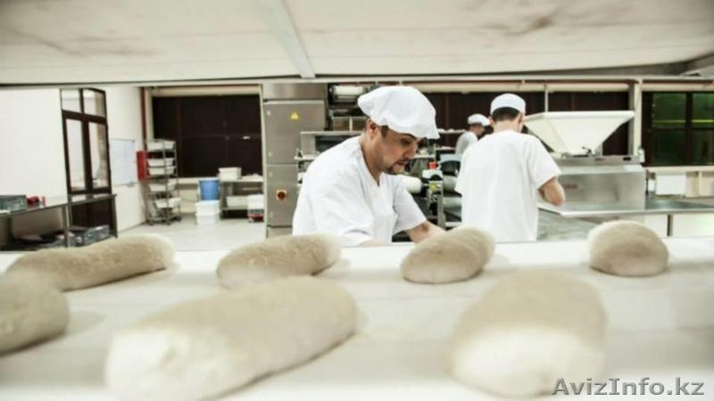 Продам действующий Завод по производству хлебобулочных изделий - Изображение #4, Объявление #1556828