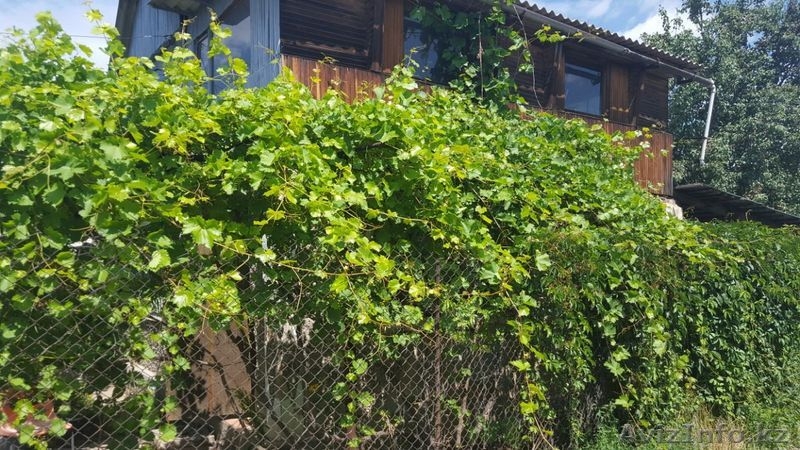 Уютный домик для летнего отдыха, тенистый сад, все для души  - Изображение #1, Объявление #1556581