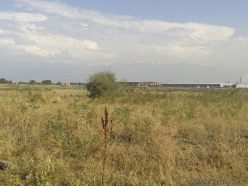 Продажа зем.участков для ведение товарного сельского хозяйства (КХ) в пос.  - Изображение #1, Объявление #1560282