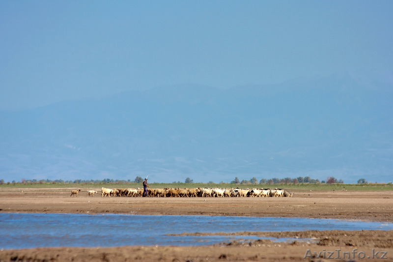 Срочно продам земельный участок и готовый бизнес под ключ! - Изображение #1, Объявление #1562102