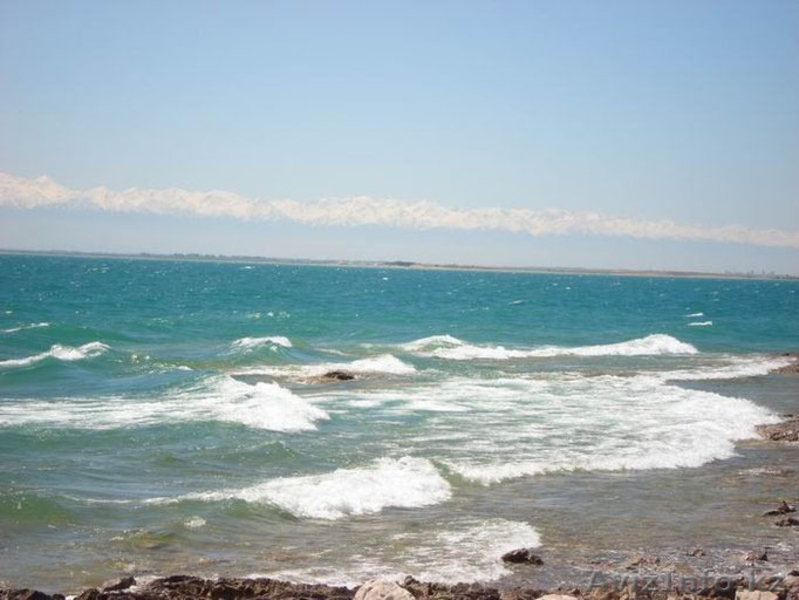 Срочно продам земельный участок и готовый бизнес под ключ! - Изображение #3, Объявление #1562102