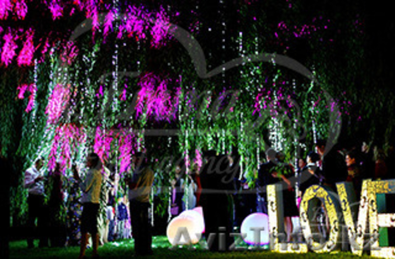 Ночная регистрация брака в Алматы - Изображение #5, Объявление #1562992