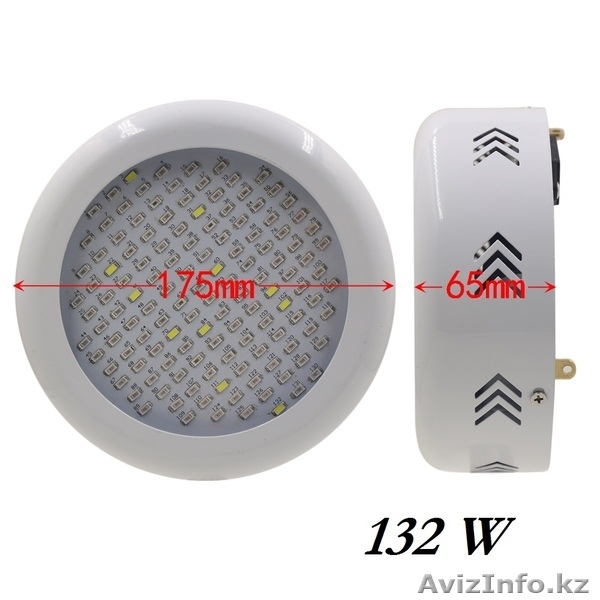 Фитолапмы и фитопанели - Изображение #3, Объявление #1567493