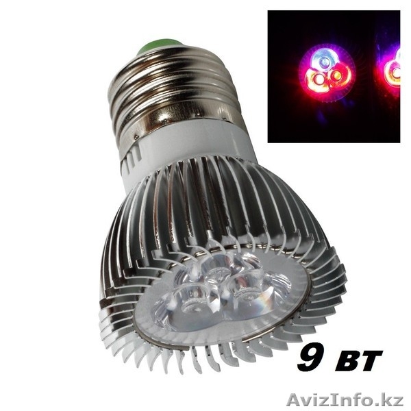 Фитолапмы и фитопанели - Изображение #4, Объявление #1567493