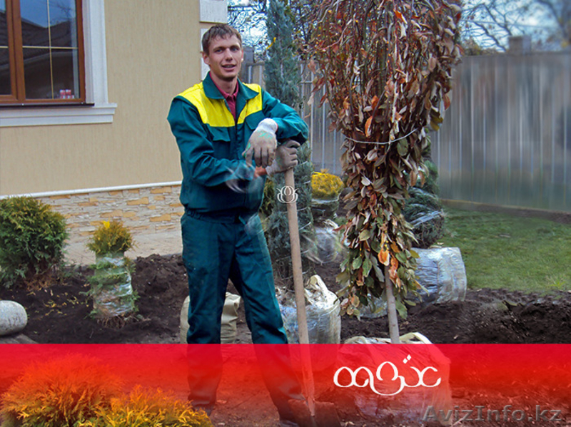 Ландшафтный дизайн, озеленение, уход за садом - Изображение #10, Объявление #1564648