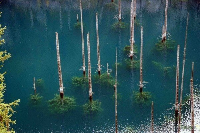 Кольсай и Каинды  С 7 ИЮЛЯ - ПО 9 ИЮЛЯ - Изображение #3, Объявление #1570434