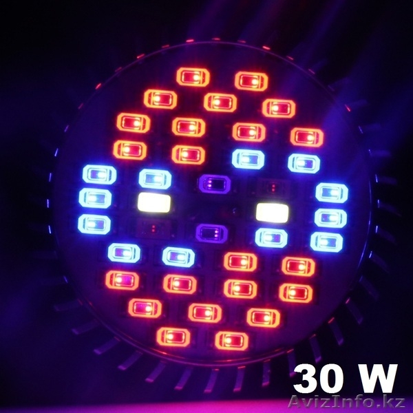 Фитопанели и фитолампы. - Изображение #6, Объявление #1574380