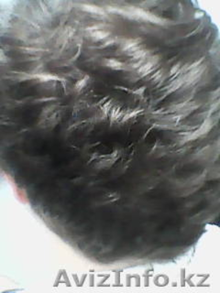 Услуги парикмахера-стилиста высокого класса - Изображение #4, Объявление #1576407