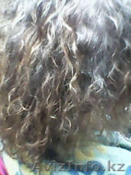 Услуги парикмахера-стилиста высокого класса - Изображение #8, Объявление #1576407