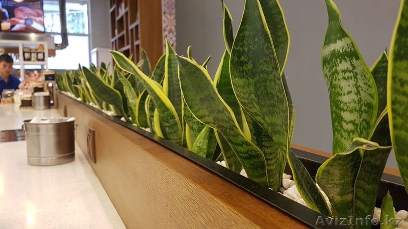 Мебель на любой вкус под заказ - Изображение #4, Объявление #1467732