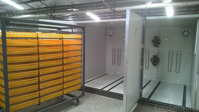 Инкубаторы 2в1 шкаф инкубационо-выводной. Гарантия - Изображение #3, Объявление #1587493