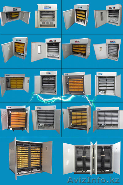 Инкубаторы 2в1 шкаф инкубационо-выводной. Гарантия - Изображение #4, Объявление #1587493