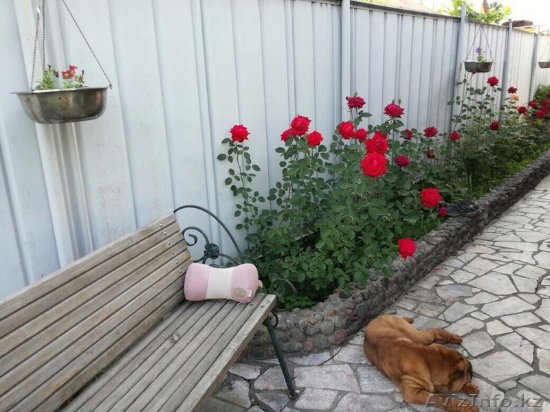 Продам дом , Калкман-2 - Изображение #3, Объявление #1594105