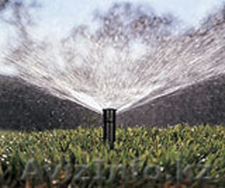 Монтаж поливочных систем - Изображение #6, Объявление #1594276