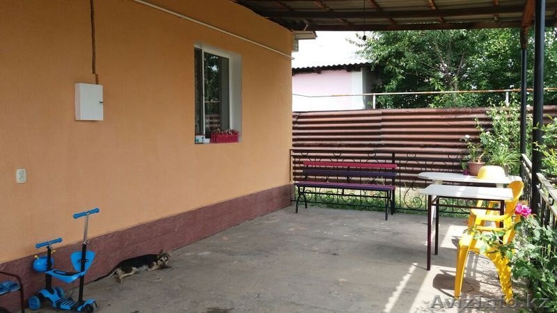 Индикош - Изображение #1, Объявление #1592802