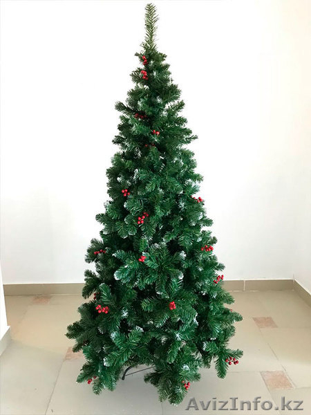 Елки с доставкой на дом!!! - Изображение #1, Объявление #1596908