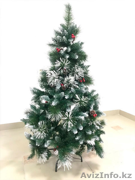 Елки с доставкой на дом!!! - Изображение #3, Объявление #1596908