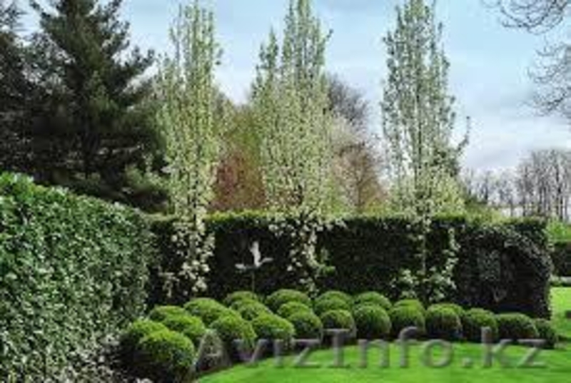 Асфальтирование, бордюры, тротуарная плитка, брусчатка и многое др. - Изображение #10, Объявление #1602008