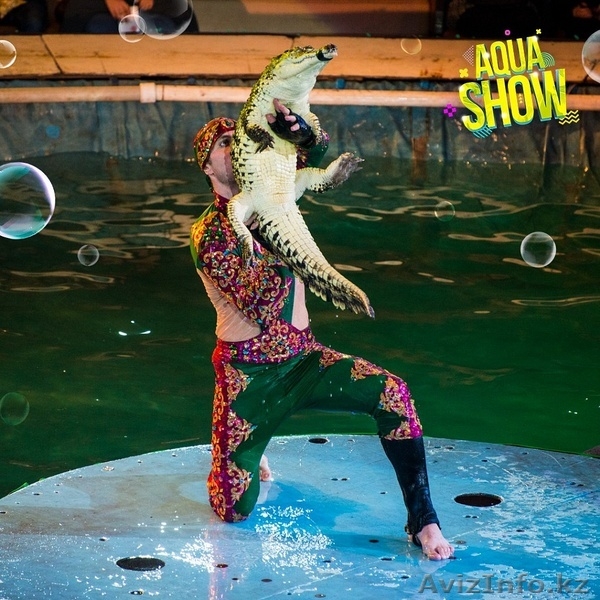  Мы разыграем 100 билетов на выступление красочного Aqua Show - Изображение #3, Объявление #1602315