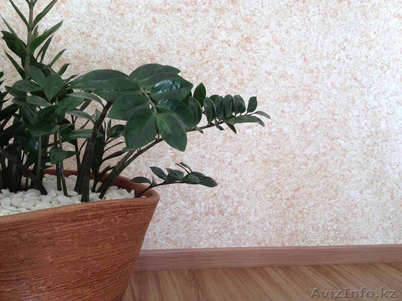 Автострахование Евразия в Алматы - Изображение #5, Объявление #1263344