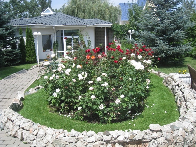 Обслуживание участков Алматы..  - Изображение #1, Объявление #1180092