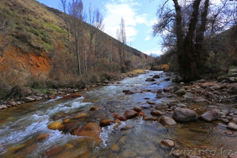 Здание с участком и бизнесом (Алматы-Каскелен) - Изображение #1, Объявление #1609352