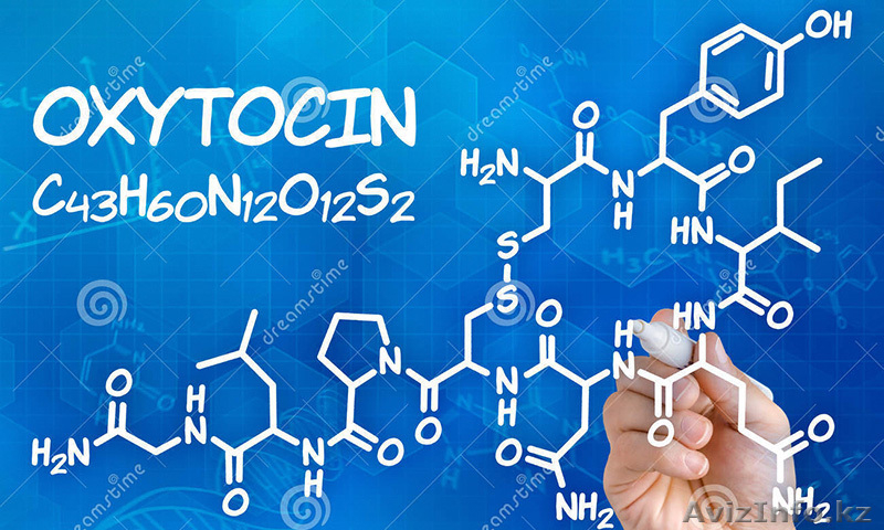 Репетитор по математике/физике/химии Интенсивный курс - Изображение #3, Объявление #1619913