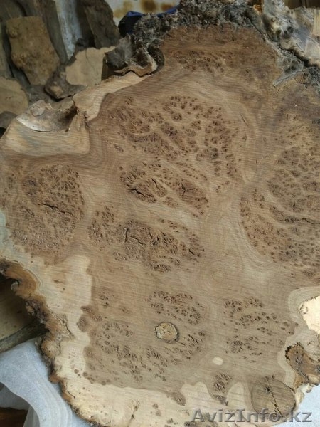 Массив для авторских изделий:кап,слэбы,доска,спилы - Изображение #5, Объявление #1597908