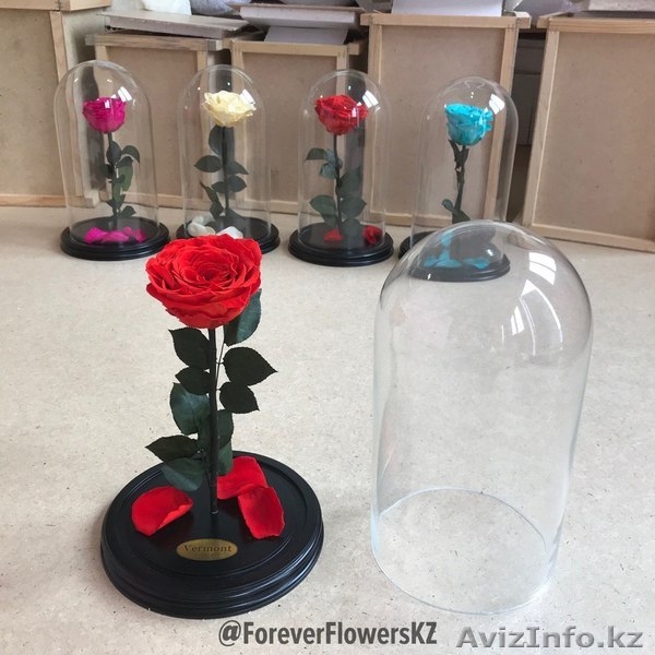 Вечные розы в колбах - Изображение #7, Объявление #1622633