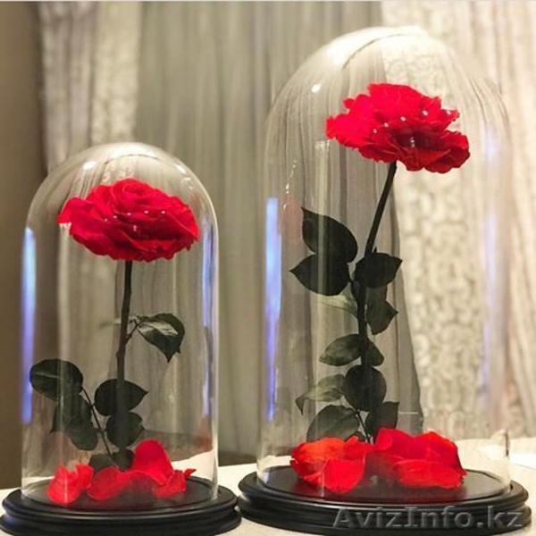 Вечные розы в колбах - Изображение #9, Объявление #1622633