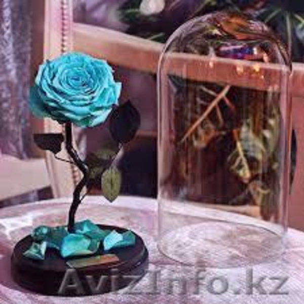 Вечные розы в колбах - Изображение #3, Объявление #1622633