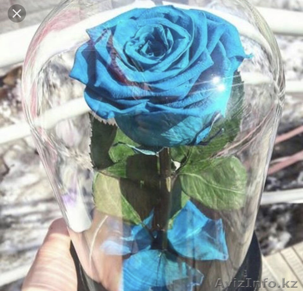 Вечные розы в колбах - Изображение #8, Объявление #1622633