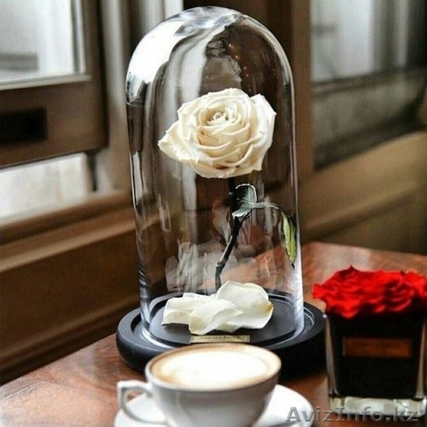 Вечные розы в колбах - Изображение #4, Объявление #1622633