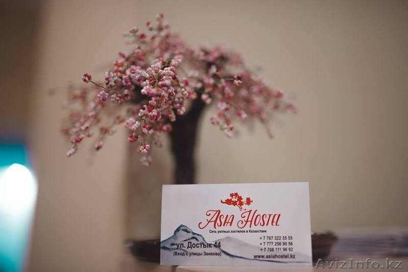  Сеть уютных Хостелов в Алматы«Азия хостел» - Изображение #2, Объявление #1627969