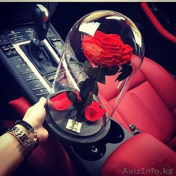 Вечная роза - Изображение #5, Объявление #1627249