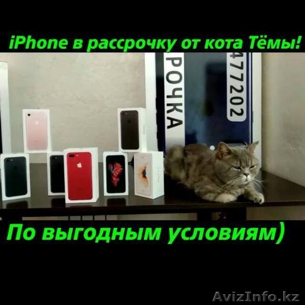 В рассрочку iPhone 7 128GB, без кредитной истории. В рассрочку iphone - Изображение #1, Объявление #1625136