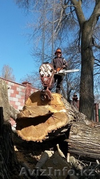 Спилим, обрежем деревья. Верхолаз (арборист) Евгений, спецтехника. - Изображение #4, Объявление #1337163