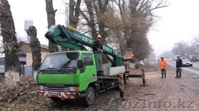 Спилим, обрежем деревья. Верхолаз (арборист) Евгений, спецтехника. - Изображение #3, Объявление #1337163