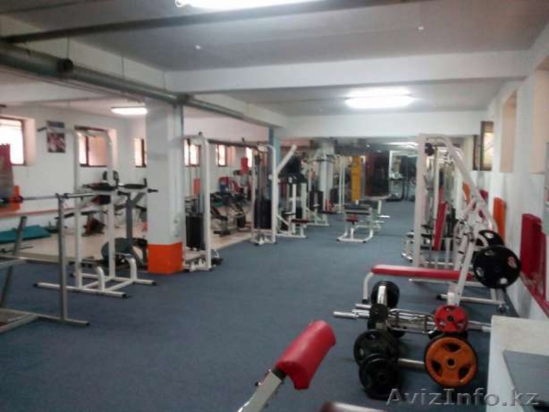 Продается бизнес - Тренажерный зал - Изображение #6, Объявление #1629675